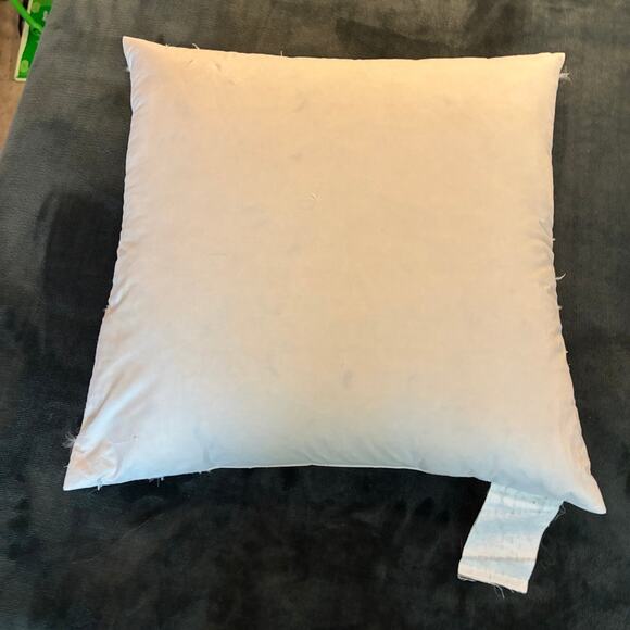 CRATE &  BARREL 20x20 Pillow Insert Feather Down Throw Pillow Couch Sofa Bed - Picture 1 of 5